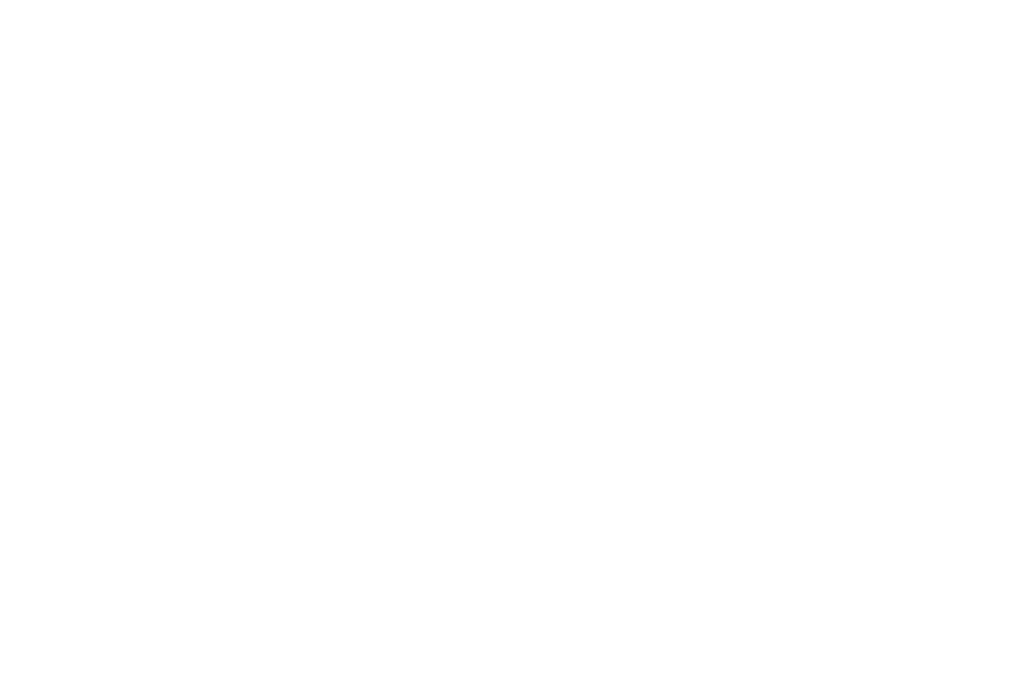 ELAN company logo
