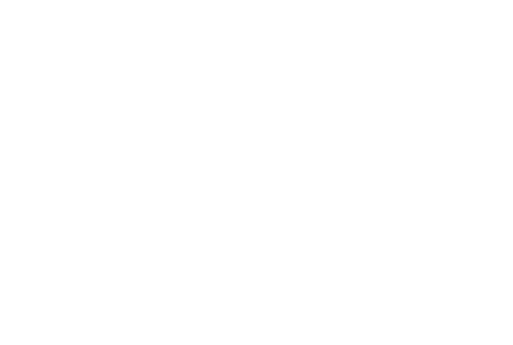 2 Gig Company Logo