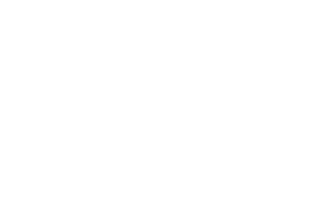 Panamax Company Logo
