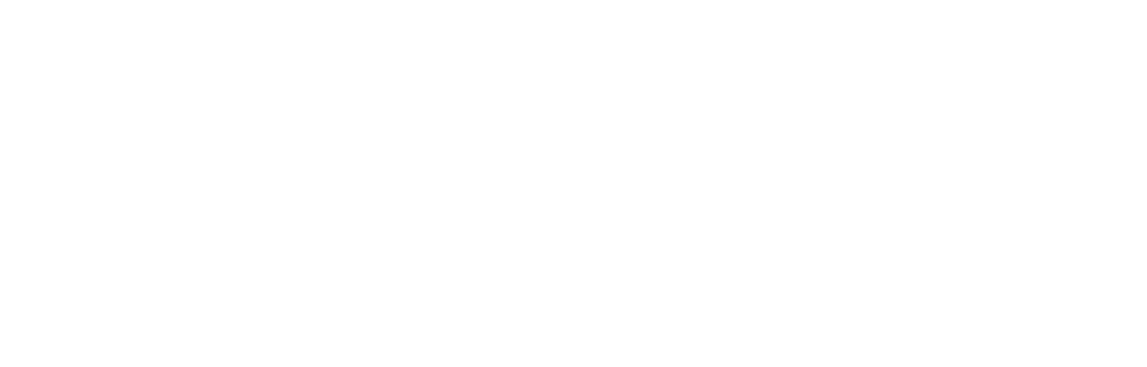 AISAV partner James Loudspeaker