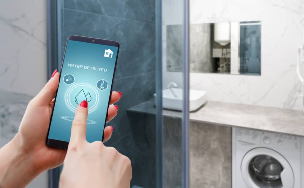Beyond the Basics: Smart Home Security Features